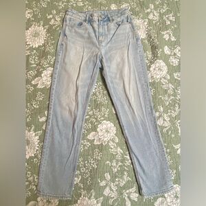 American Eagle Outfitters Size 2 Short Mom Jean New Without Tags